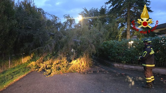 Albero caduto in strada nel Pistoiese