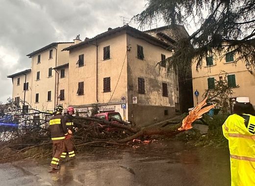 Un albero caduto a Borgo San Lorenzo (Foto: Comune Borgo San Lorenzo / Facebook)