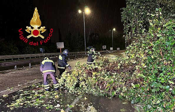 Uno degli alberi caduti in strada nel Fiorentino