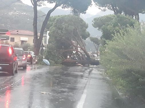 La situazione a Massa